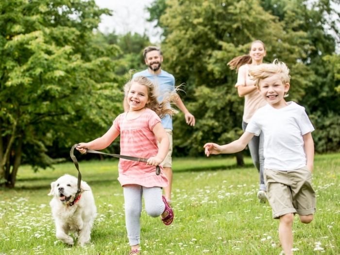 Constelação Familiar em Bernardino de Campos